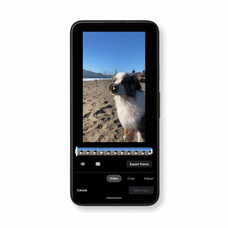 Google Photos iOS