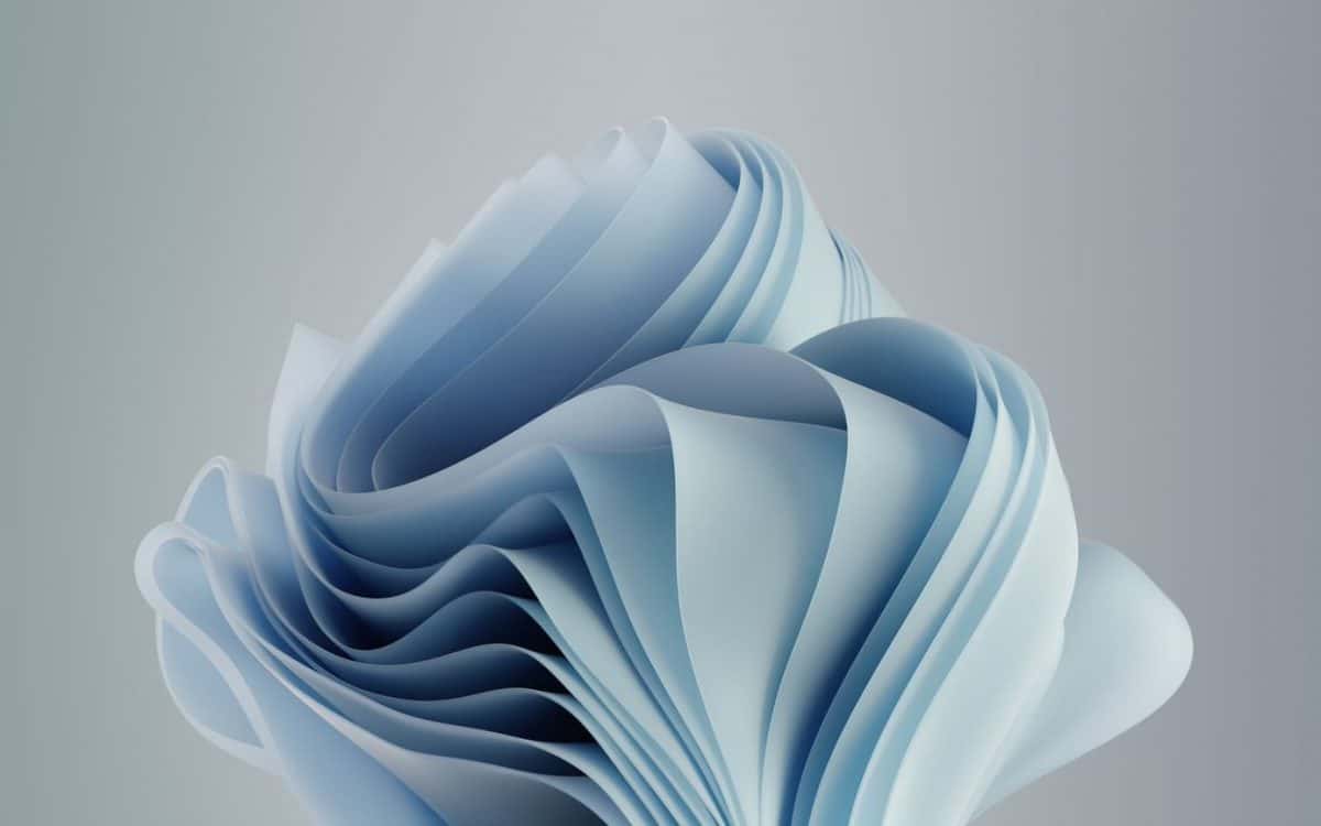 wallpapers Windows 11