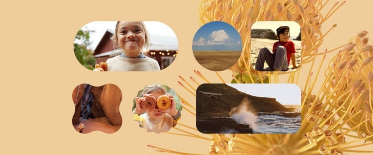 Google Widgets Android 12